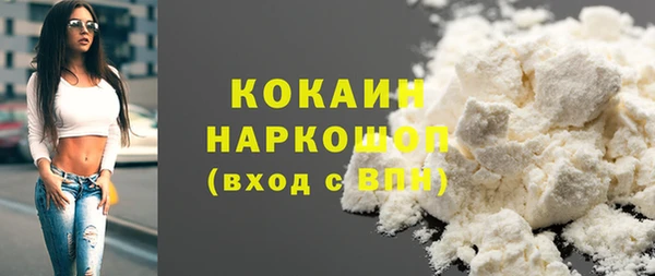 крисы Алзамай