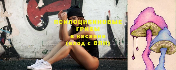 крисы Алзамай