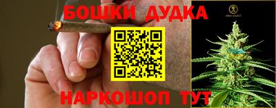 сатива Можга
