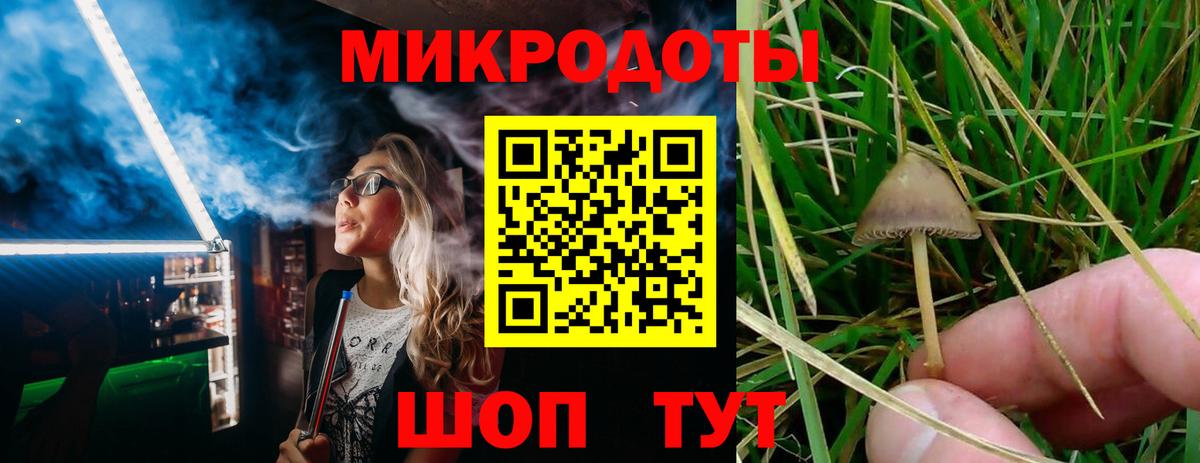 Псилоцибиновые грибы Psilocybe  Вход с VPN  Псилоцибиновые грибы ЛСД  Уссурийск 